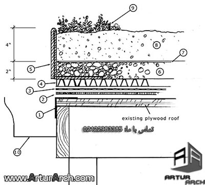 green roof